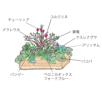 秋から春まで楽しめる 球根と寄せ植えの ダブルデッカー はいかが Izilook