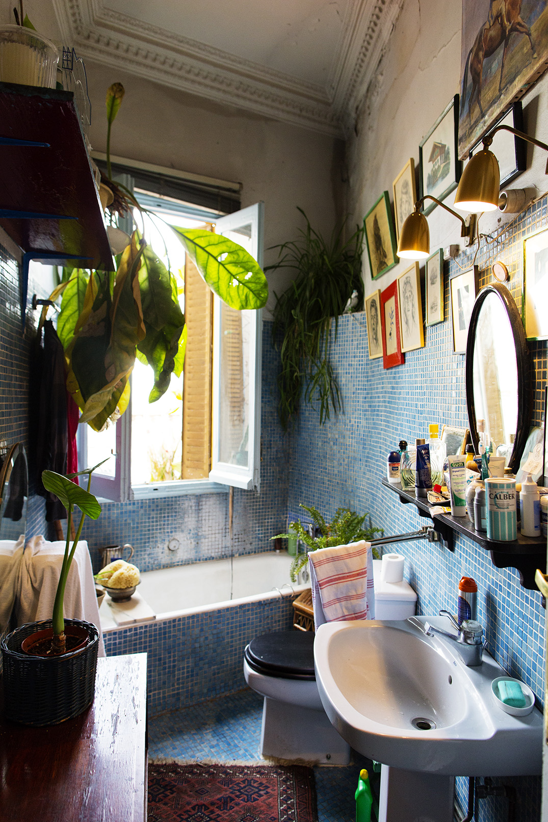 お風呂場に観葉植物 自宅バスルームの緑化計画 Izilook