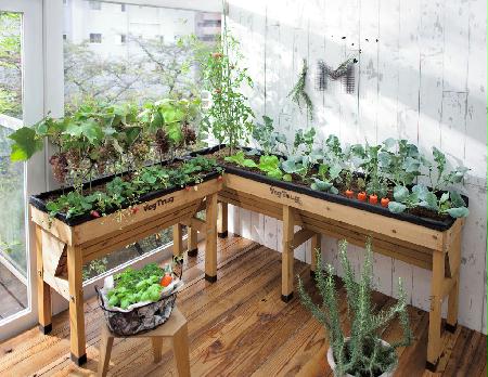 家庭菜園はプランターで簡単に始めよう 必要な材料と品種を紹介 Izilook